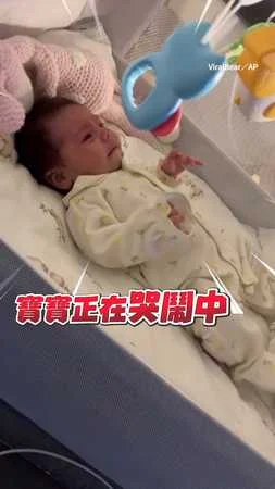 【這我可不哄】嬰兒哭鬧狗叔在旁眼神滿滿無奈