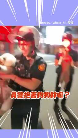 【強制逮捕】警察大半夜逮到2隻逃家小狗 太可愛了～