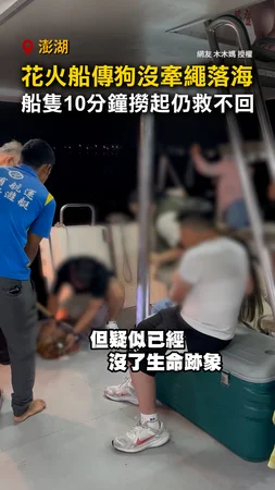 【沒牽繩悲劇】澎湖花火船傳狗落海！船隻10分鐘撈起仍救不回 #澎湖