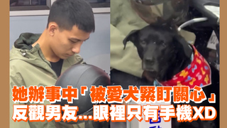 她辦事中「被愛犬緊盯關心」 反觀男友...眼裡只有手機XD