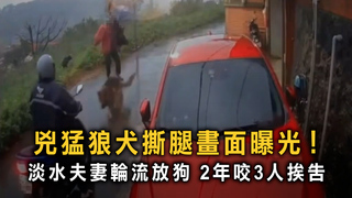 淡水狼犬2年咬3人！　未繫繩咬傷騎士飼主遭起訴