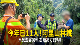 今年已11人！阿里山林鐵又見遊客闖軌道　最高可罰5萬