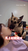 【甜蜜蜜❤️‍】萌汪見姐嘟起嘴秒湊近給親親