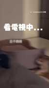 【太入戲】柴和貓模仿電視親親畫面！被拍想停霸道總柴還硬要親