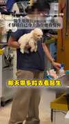 【小狗掛件？】獸醫忙著忙著才發現...手裡怎麼長出一隻狗？