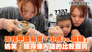 剪指甲難易度「小孩vs.貓貓」　媽笑：聽得懂人話的比較難剪