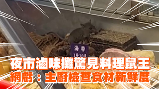 夜市滷味攤驚見料理鼠王　網虧：主廚檢查食材新鮮度