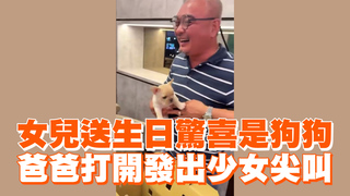 女兒送生日驚喜是狗狗　爸爸打開發出少女尖叫