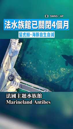 【好心疼!】法水族館已關閉4個月 留虎鯨、海豚自生自滅