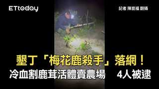 墾丁「梅花鹿殺手」落網！冷血割鹿茸活體賣農場　 4人被逮