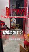 【家快淹鼠了】惡鄰居堆爆垃圾山！老鼠開趴停不下來
