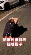 【暗影君王4ni？】跟風拍「貓咪影子」黑影中真的有黑貓！