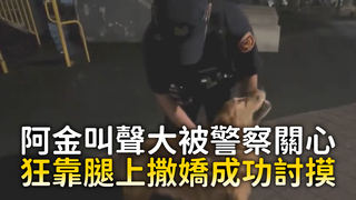 阿金叫聲大被警察關心　狂靠腿上撒嬌成功討摸