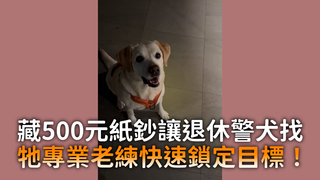 藏500元紙鈔讓退休警犬找　牠專業老練快速鎖定目標！