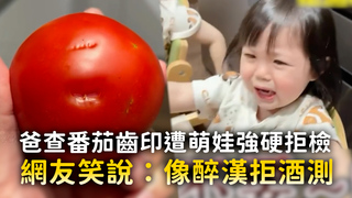 爸查番茄齒印遭萌娃強硬拒檢　網友笑說：像醉漢拒酒測