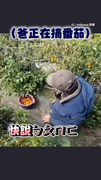 【台味ㄅㄆㄇㄈ】女兒考老爸注音怎麼唸？