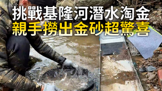 挑戰基隆河潛水淘金　親手撈出金砂超驚喜