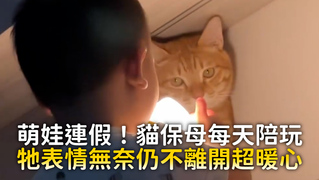萌娃連假！貓保母每天陪玩　牠表情無奈仍不離開超暖心