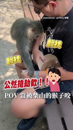 【猴不講理】找不到食物氣炸！對視瞬間暴衝咬人