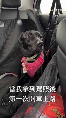 【極致驚恐】這溢出螢幕的害怕...爸爸新手上路 歐告表情管理大失敗