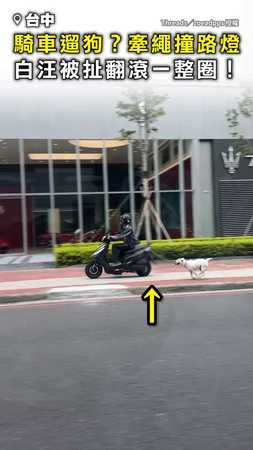 【騎車遛狗？】牽繩撞路燈 白汪被扯翻滾一整圈！