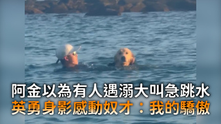 阿金以為有人遇溺大叫急跳水　英勇身影感動奴才：我的驕傲