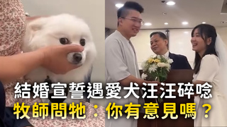 結婚宣誓遇愛犬汪汪碎唸　牧師問：你有意見嗎？