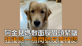 阿金見媽敷面膜眉頭緊皺　狂後退一臉問號反覆確認