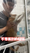 【放我出去R】貓咪被抱進浴室準備洗澡！毛毛手狂抓門超抗拒