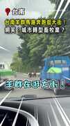 【馬路變牧場？】羊群快樂奔跑台南街頭！網笑：城市轉型畜牧業？