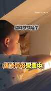 【罐罐真難賺】萌娃放假！貓保母陪玩表情超無奈