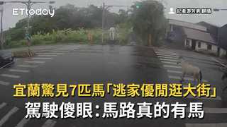 宜蘭驚見7匹馬「逃家優閒逛大街」　駕駛傻眼：馬路真的有馬
