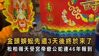 金頭蜈蚣先遣3天後終於來了　松柏嶺天受宮帝爺公蛇連46年報到