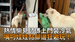 熱情柴見師傅上門裝冷氣　嘴叼娃娃黏腳邊狂邀玩！