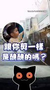 【2歲兒子的真心發問】父子聊髮型下秒爸爸被兒子吐槽！