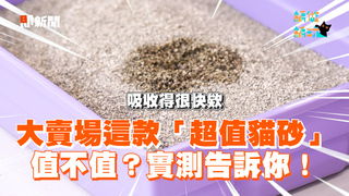 大賣場這款「超值貓砂」值不值？實測告訴你！