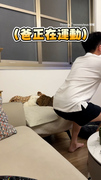 【最嚴格的貓貓教練】爸健身貓貓在一旁監督：再來一組！