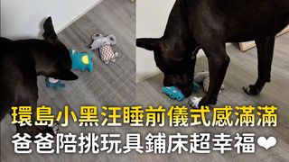 環島小黑汪睡前儀式感滿滿　爸爸陪挑玩具鋪床超幸福❤️‍
