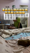 【這表情是喜歡還不喜歡？】奴才吹頭髮！貓咪躺大腿眼睛瞪大