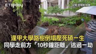 逢甲大學路樹倒塌壓死碩一生　同學走前方「10秒鐘距離」逃過一劫