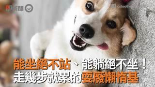能坐絕不站、能躺絕不坐！　走幾步就累的耍廢懶惰基