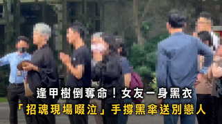 逢甲碩士生遭樹壓亡！　女友撐傘啜泣送別戀人畫面哀傷