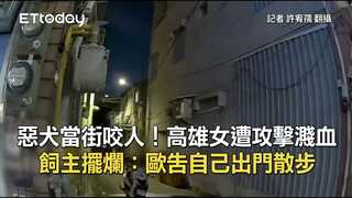 惡犬當街咬人！高雄女遭攻擊濺血　飼主擺爛：歐告自己出門散步