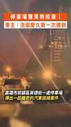 【怎麼咬的？】高雄停車場驚見狗咬車！　車主：活這麼久第一次遇到