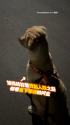 【一起玩嗎？】禮貌阿金坐下等小強要陪玩但媽媽不同意XD