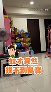 【找好久找不到】巨嘴鳥居然偽裝成玩偶躲在玩具櫃上