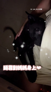 【心臟爆擊❤️‍】黑汪頭靠媽身上搖尾撒嬌