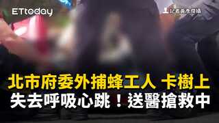 北市府委外捕蜂工人「卡樹上失去呼吸心跳」！　送醫搶救中