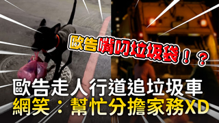 歐告走人行道追垃圾車　網笑：幫忙分擔家務XD