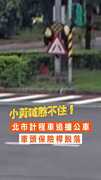 【小黃喊煞不住】北市計程車追撞公車 車頭保險桿脫落